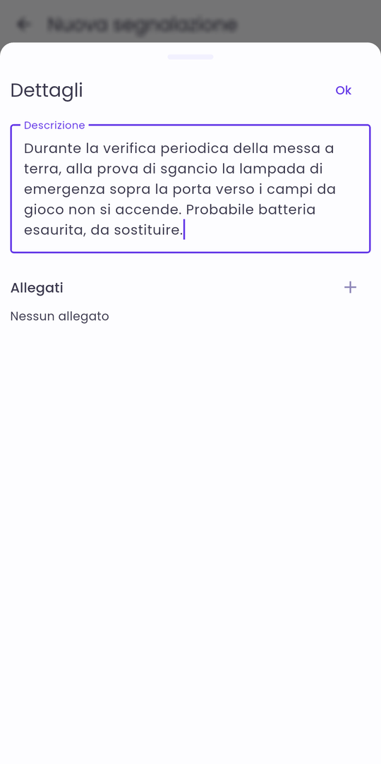 Dettagli: descrizione del problema e allegati